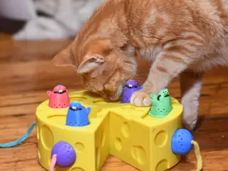 Cheesy Mouse Treat Puzzle Cat Toy