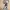 Himmel, The Hero