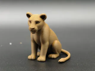 母狮子