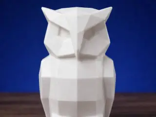 Cute Owl