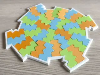 Monotile Puzzle