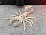 Scorpione Scheletro Flessibile-0