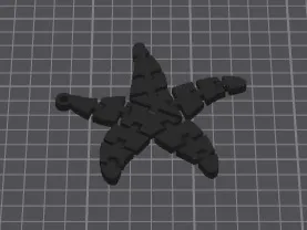 Flexi Starfish _ Ocean Collection