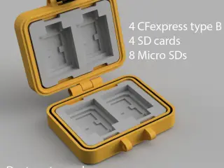 Multi Memory Cards Case