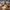 أطواق مجسمات Tiny Epic Dungeons (18 ملم) | TMD