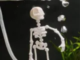 Skeleton aquarium bubbler-0