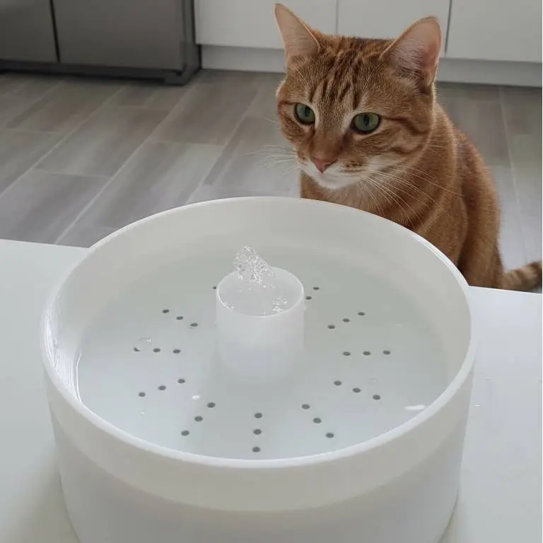 The RippleFlow Pet Fountain