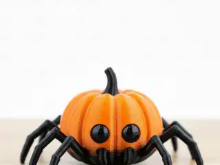 spider pumkin