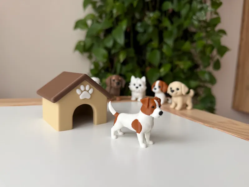 Jack Russell Terrier