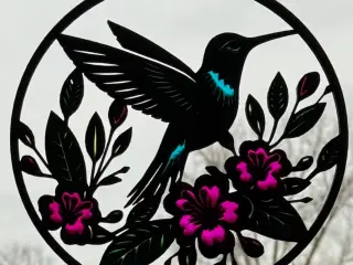 Hummingbird Reflection