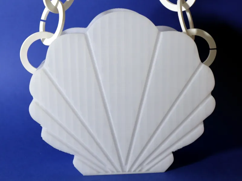 Bolso de mano concha
