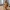 Kill Pill Geel Pak Assassin Tease