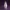 Cute Standing Penguin Figurine