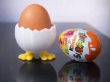 Hatching Egg Holder-0