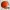 Logo do Cleveland Browns