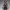 Yoruichi Shihouin manga y anime Bleach Model 3D