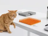 Cat No-Go Zone (Cat Scat Mat-0