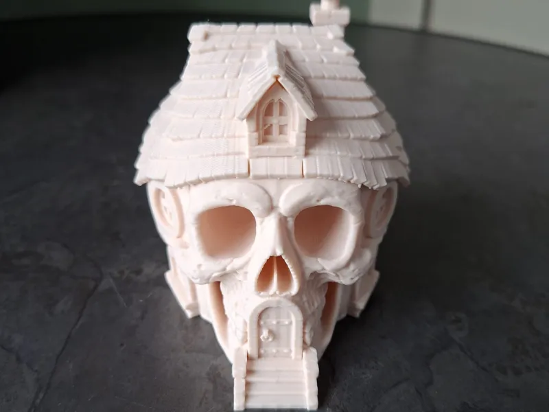 Spooky Skull House