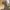 Dragon’s Watch – Supporto per Cuffie Fantasy