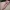 Minecraft Pig Mob Bookmark / For Kids / Easy Print / Fast