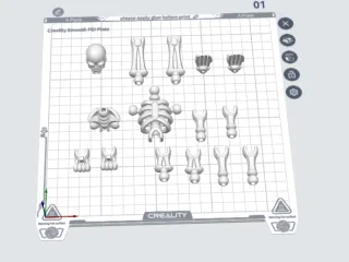 Skeleton 