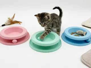 食盒追逐猫玩具（两用）