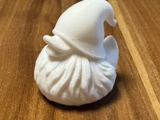 Duck Gnome