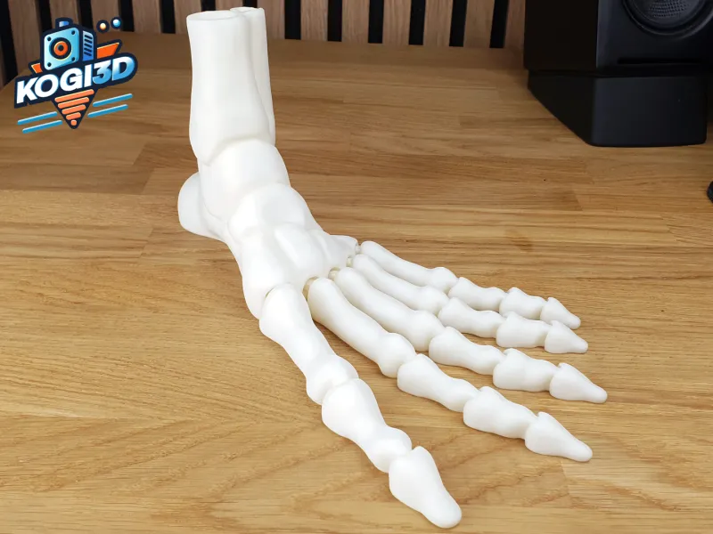 Articulated Realistic Skeleton Foot