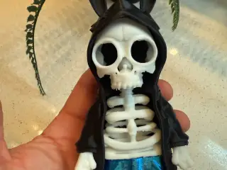 Rabbit skeleton