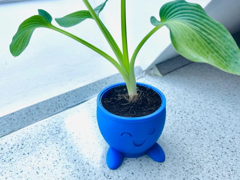 🌱😊 Горшок Одиш