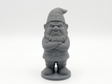 Angry garden gnome-0