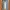 Tournevis électrique Worx (WX240L) Gridfinity 1x5