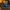 عنكبوت مرن على شبكة العنكبوت، لعبة هالوين متحركة