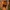 Medieval Gothic Lantern – 3D Model