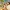 Usopp 🎯 | Anime Keychain – Straw Hat Collection