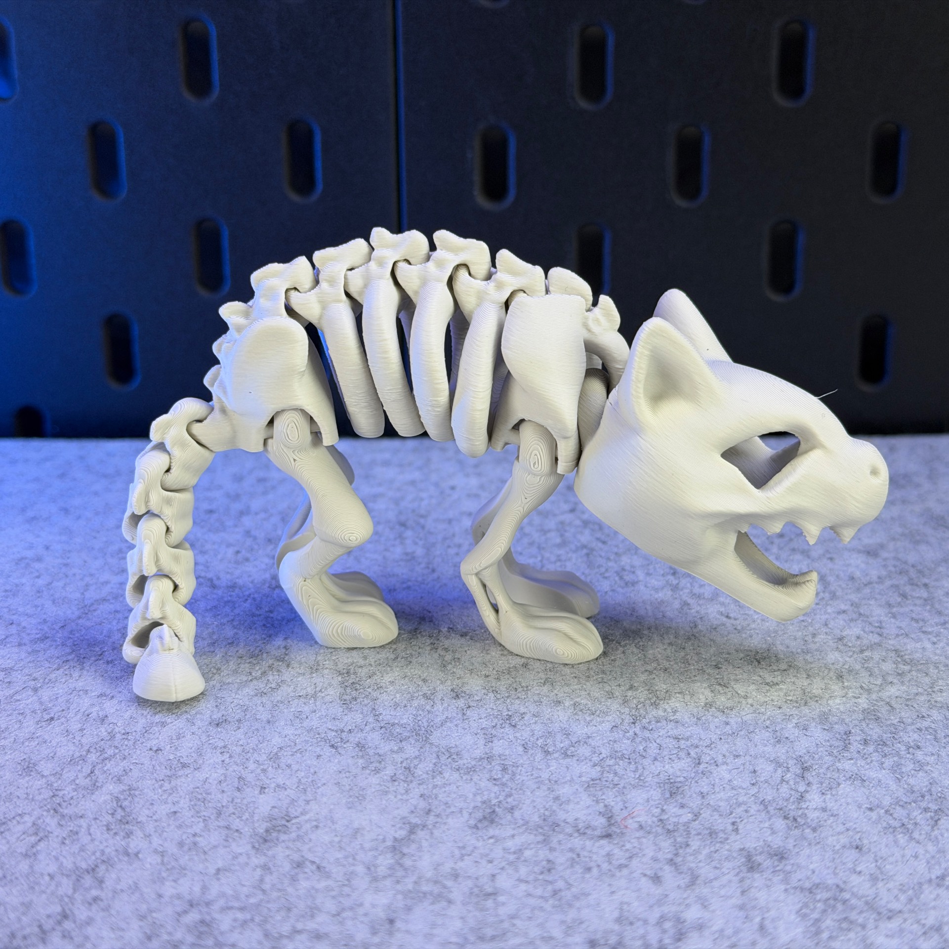Home print settings: ArticulatedSkeletonCat_CrealityPrintK2Plus.3mf