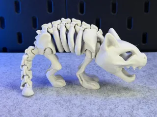 Articulated Skeleton Cat