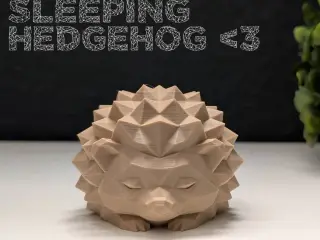 Low Poly Sleeping Hedgehog