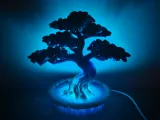Bonsai Tree with Light Fitting-0