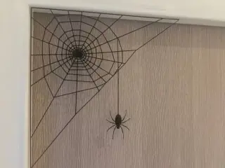 Halloween Spider Web decoration