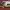 Citroën C2 rear towbar cover 9643619080