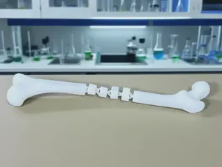 股骨双节棍