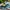 Large Bee on Leaf – High‑Detail 3D Model