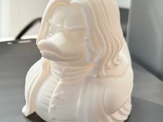 Duck Severus Snape