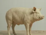 Pig - simple and easy to print-0