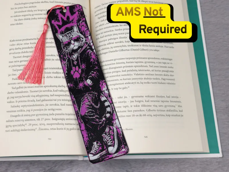 Street Cat Graffiti HueForge Bookmark