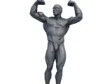 Bodybuilder Low Poly - 3D Model-0