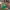 Salvadanaio Creeper di Minecraft