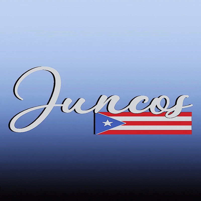 JUNCOS,🇵🇷-0
