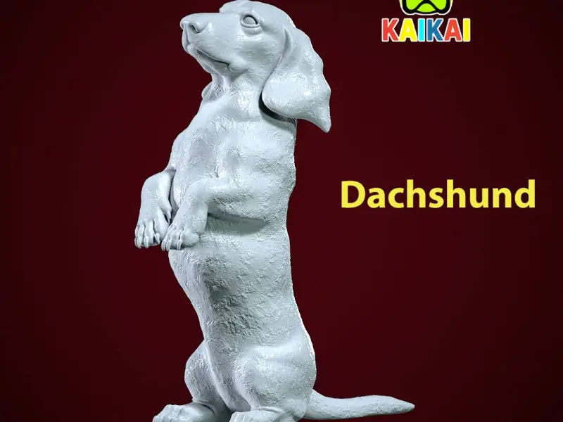 Dachshund Dog standing statue - Dachshund model - 3D print